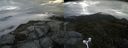 ./images/calvert/buxton2/20160718/buxton220160718_083407M.jpg