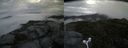 ./images/calvert/buxton2/20160718/buxton220160718_085904M.jpg