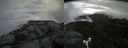 ./images/calvert/buxton2/20160718/buxton220160718_095406M.jpg