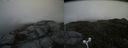 ./images/calvert/buxton2/20160719/buxton220160719_122438M.jpg