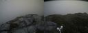 ./images/calvert/buxton2/20160719/buxton220160719_131922M.jpg
