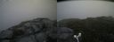 ./images/calvert/buxton2/20160719/buxton220160719_193918M.jpg