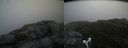 ./images/calvert/buxton2/20160720/buxton220160720_072404M.jpg