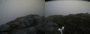 ./images/calvert/buxton2/20160720/buxton220160720_074413M.jpg
