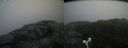 ./images/calvert/buxton2/20160720/buxton220160720_084906M.jpg