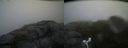 ./images/calvert/buxton2/20160720/buxton220160720_100409M.jpg