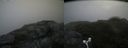 ./images/calvert/buxton2/20160720/buxton220160720_110408M.jpg
