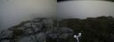 ./images/calvert/buxton2/20160720/buxton220160720_124936M.jpg
