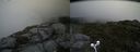 ./images/calvert/buxton2/20160720/buxton220160720_134912M.jpg