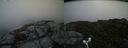 ./images/calvert/buxton2/20160720/buxton220160720_153403M.jpg