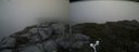 ./images/calvert/buxton2/20160720/buxton220160720_160405M.jpg