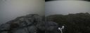 ./images/calvert/buxton2/20160720/buxton220160720_174416M.jpg