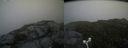 ./images/calvert/buxton2/20160720/buxton220160720_182403M.jpg