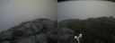 ./images/calvert/buxton2/20160720/buxton220160720_192406M.jpg