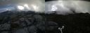 ./images/calvert/buxton2/20160721/buxton220160721_092540M.jpg