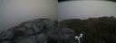 ./images/calvert/buxton2/20160721/buxton220160721_102524M.jpg