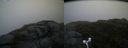 ./images/calvert/buxton2/20160722/buxton220160722_064112M.jpg