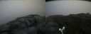 ./images/calvert/buxton2/20160722/buxton220160722_072539M.jpg