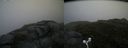 ./images/calvert/buxton2/20160722/buxton220160722_083533M.jpg