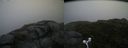 ./images/calvert/buxton2/20160722/buxton220160722_084509M.jpg