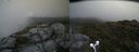 ./images/calvert/buxton2/20160722/buxton220160722_132009M.jpg