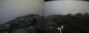 ./images/calvert/buxton2/20160722/buxton220160722_150029M.jpg