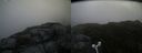 ./images/calvert/buxton2/20160722/buxton220160722_155509M.jpg