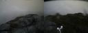 ./images/calvert/buxton2/20160722/buxton220160722_202027M.jpg