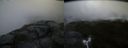 ./images/calvert/buxton2/20160723/buxton220160723_055519M.jpg