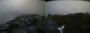 ./images/calvert/buxton2/20160723/buxton220160723_064046M.jpg