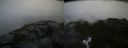 ./images/calvert/buxton2/20160723/buxton220160723_065537M.jpg