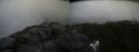 ./images/calvert/buxton2/20160723/buxton220160723_084525M.jpg