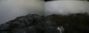 ./images/calvert/buxton2/20160723/buxton220160723_085524M.jpg
