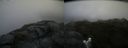 ./images/calvert/buxton2/20160723/buxton220160723_100023M.jpg