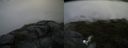 ./images/calvert/buxton2/20160723/buxton220160723_181009M.jpg