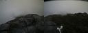 ./images/calvert/buxton2/20160723/buxton220160723_200122M.jpg