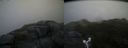 ./images/calvert/buxton2/20160723/buxton220160723_204519M.jpg