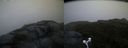 ./images/calvert/buxton2/20160724/buxton220160724_054105M.jpg