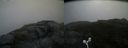 ./images/calvert/buxton2/20160724/buxton220160724_070535M.jpg