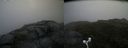 ./images/calvert/buxton2/20160724/buxton220160724_071541M.jpg