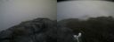 ./images/calvert/buxton2/20160724/buxton220160724_081525M.jpg
