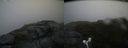 ./images/calvert/buxton2/20160724/buxton220160724_130535M.jpg