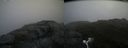 ./images/calvert/buxton2/20160724/buxton220160724_145525M.jpg