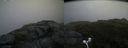 ./images/calvert/buxton2/20160724/buxton220160724_150511M.jpg