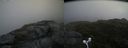 ./images/calvert/buxton2/20160724/buxton220160724_161018M.jpg