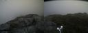 ./images/calvert/buxton2/20160724/buxton220160724_163540M.jpg