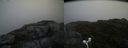 ./images/calvert/buxton2/20160724/buxton220160724_170512M.jpg