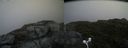 ./images/calvert/buxton2/20160724/buxton220160724_172528M.jpg