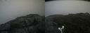 ./images/calvert/buxton2/20160724/buxton220160724_175024M.jpg