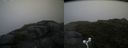 ./images/calvert/buxton2/20160724/buxton220160724_194624M.jpg